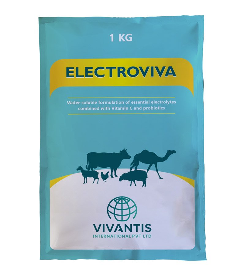 ELECTROVIVA ELECTROVIVA - Image 1