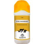 VIVA E+Se BOOST