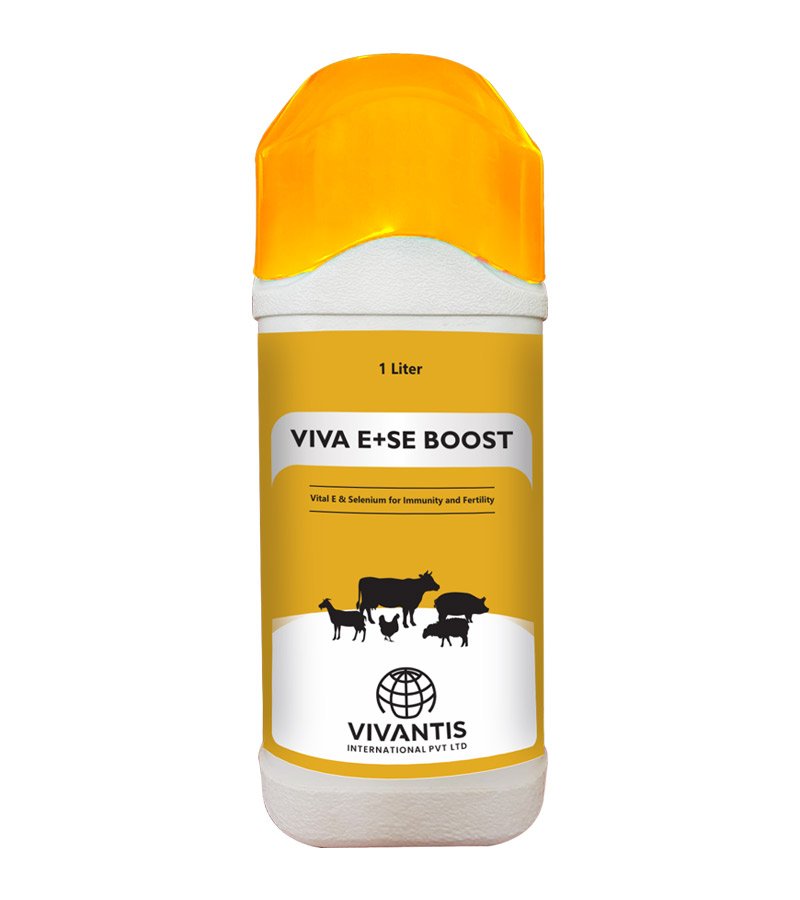 VIVA E+Se BOOST VIVA E+Se BOOST - Image 1