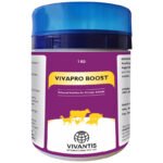 VIVAPRO BOOST