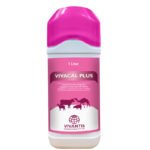 VivaCal Plus