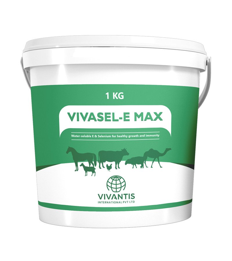 VIVASEL-E MAX VIVASEL-E MAX - Image 1