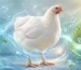 Probiotics: The Key to Sustainable Poultry Performance