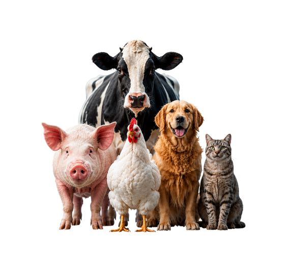 Leading Animal Nutrition Company